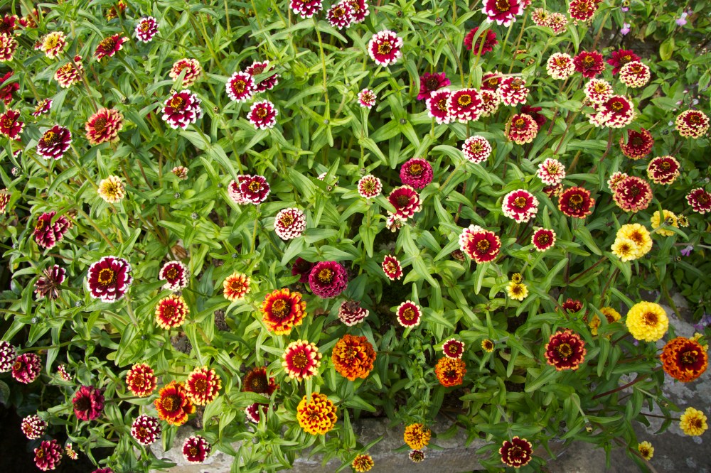 just do it (now and then?