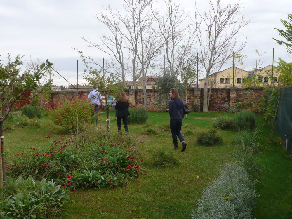 non  and judy tramping