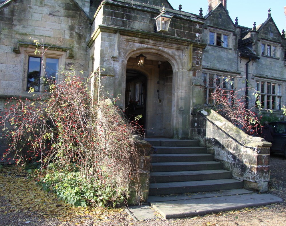 rosa moyesii gravetye