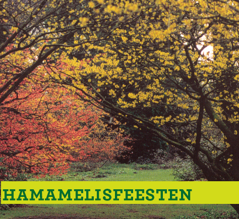 naamloos2_tcm7-164262