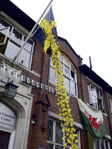 St-Davids-Flagr-360x480