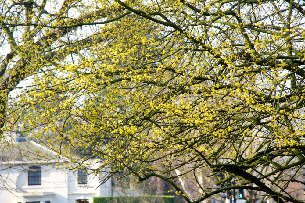 close up against white