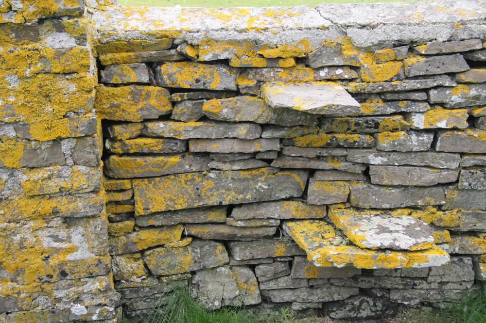st magnus dry stone steps