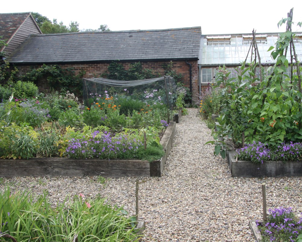 kitchen garden sans ladies