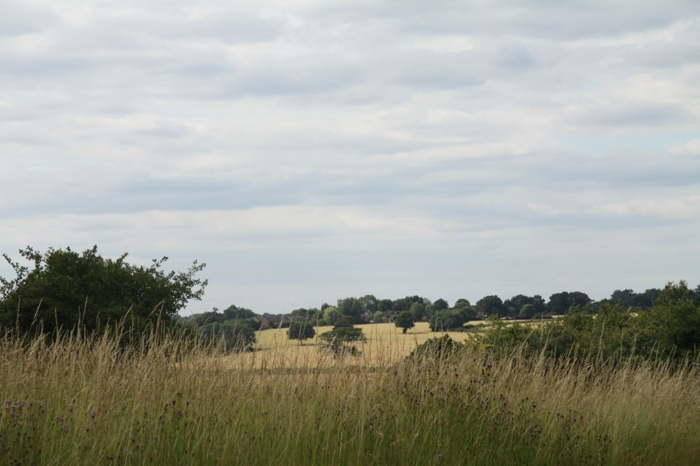 the view from Serge Hill