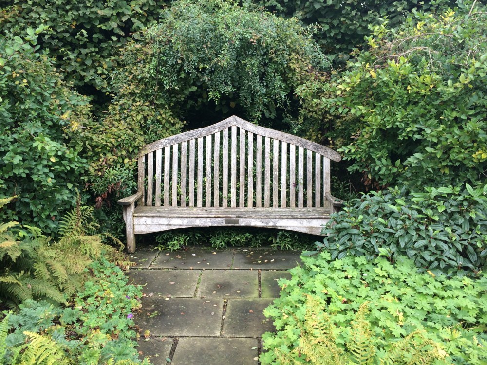 bench at st johns