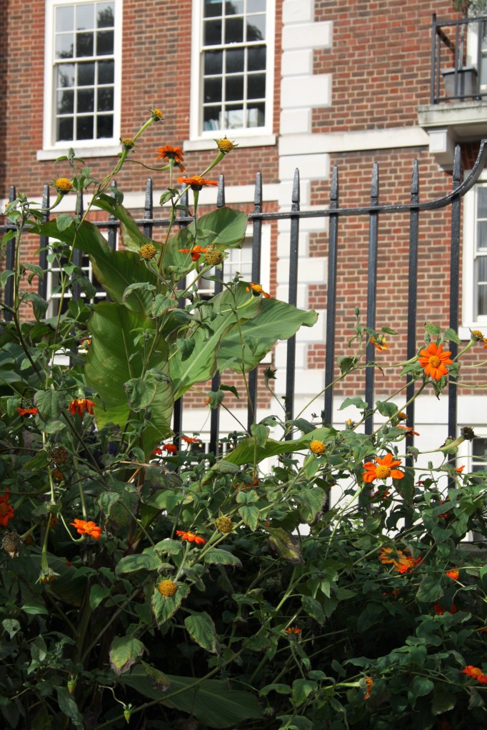 orange against orange brick