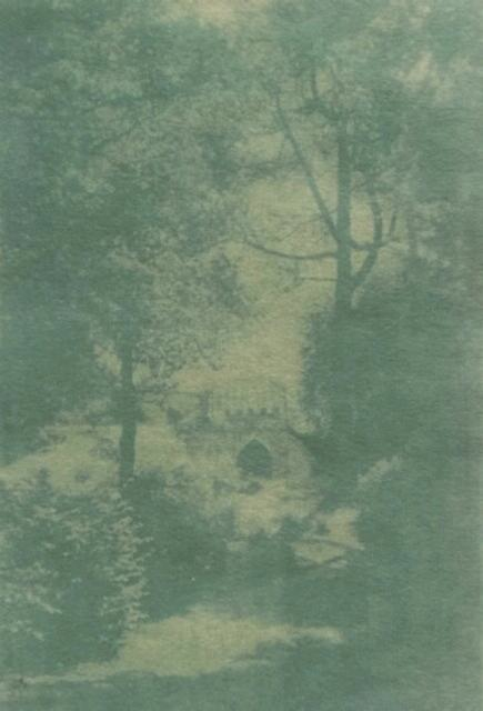 PURPLE ALIUM_EAGLE HOUSE