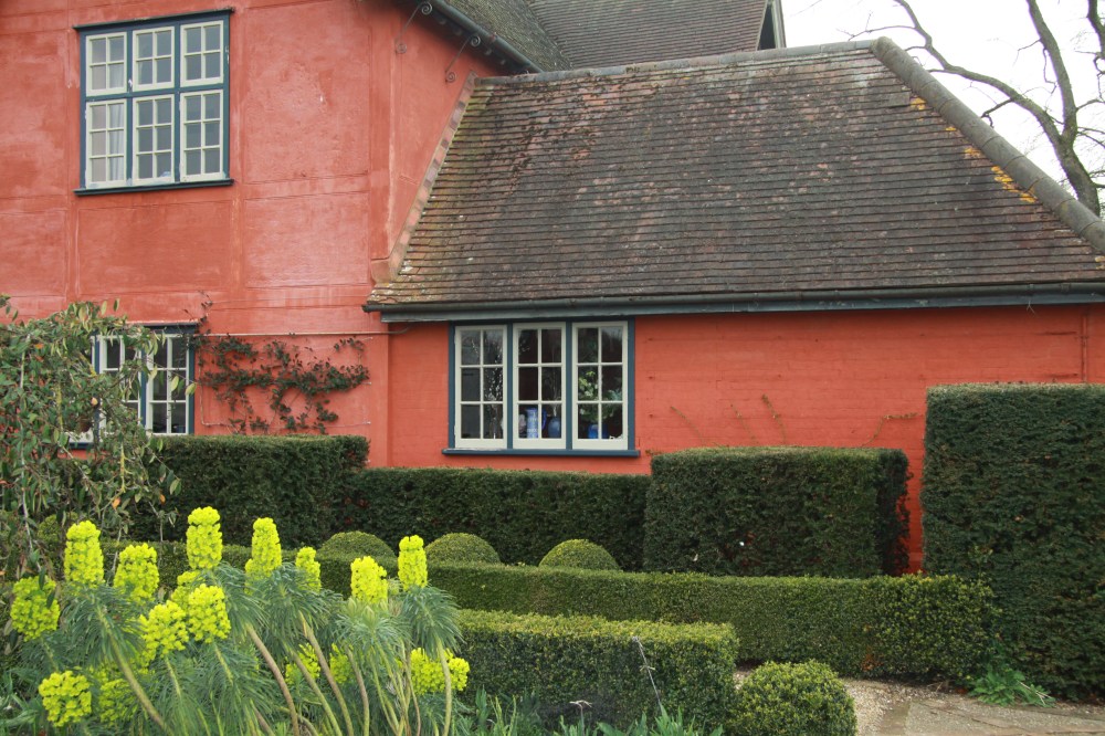 euphorbia against red