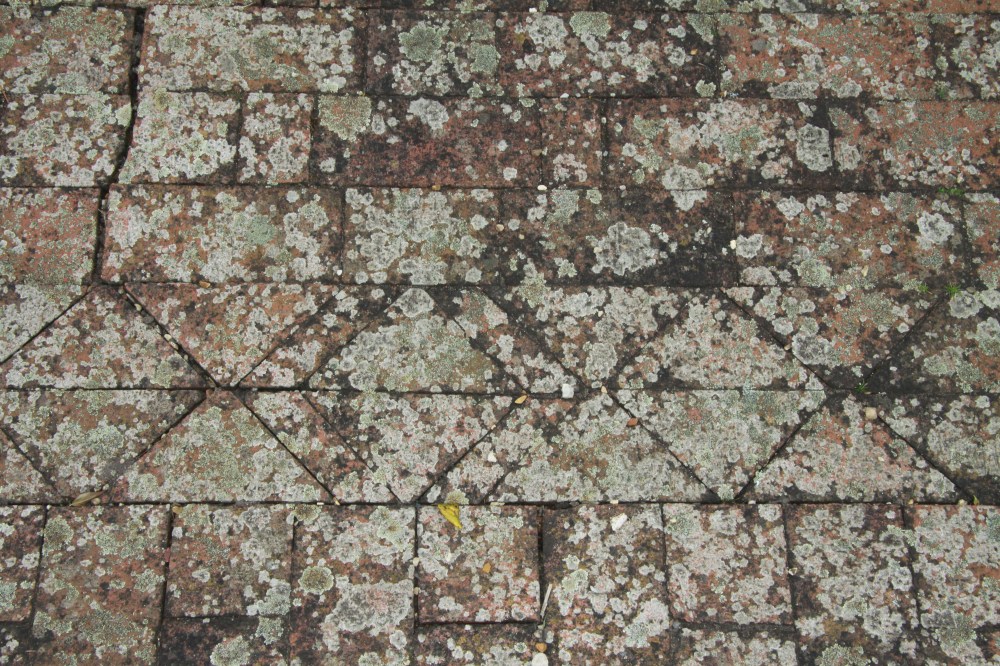 lichen tile