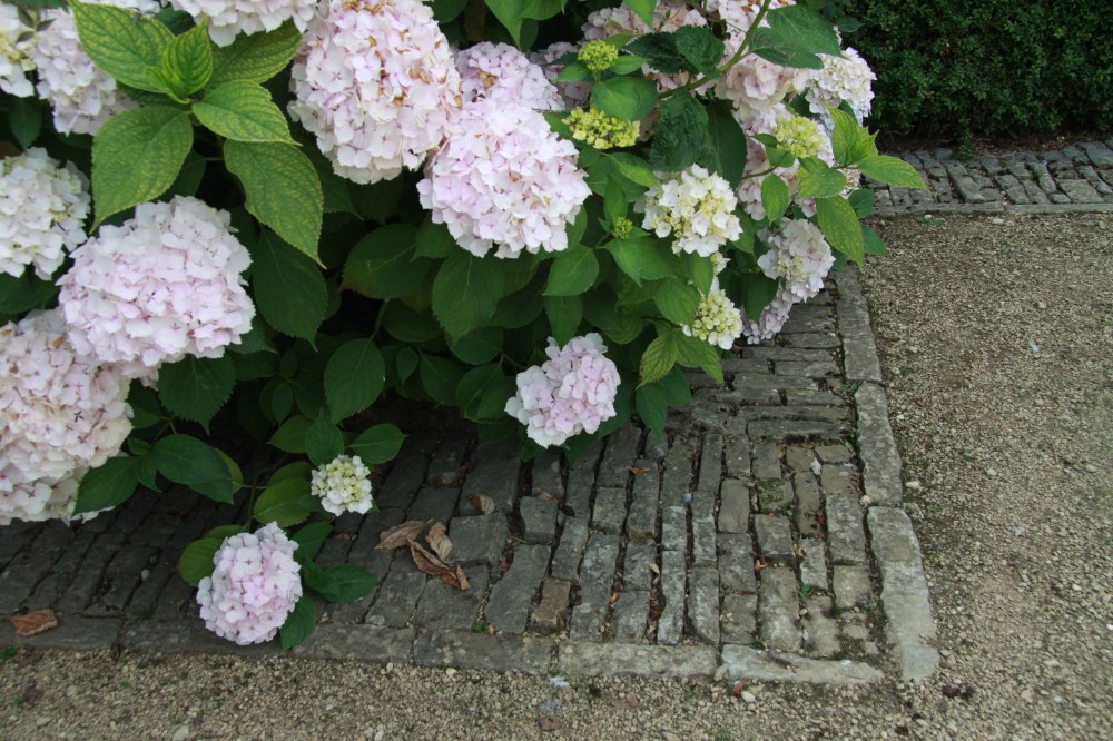 lovely skinny brick edge