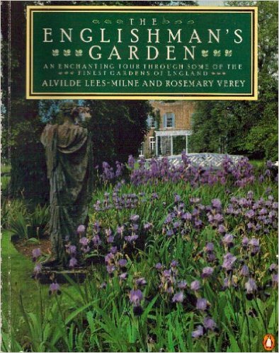 61D-MQHcOcL._SX392_BO1,204,203,200_