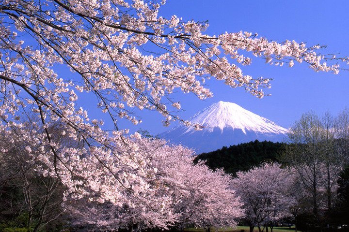 mount-fuji_03